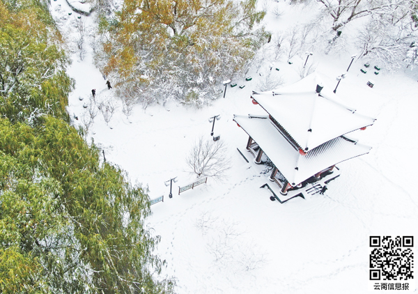 大雪封门69罕见暴雪袭击东北内蒙