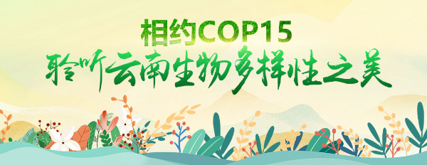 網聚雲南相約cop15七彩雲南萬物共生的奧秘丨叢林裡的歌唱家69動物