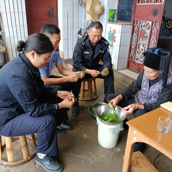 绿春县公安局持续深化警务体制改革全力打造更高水平平安绿春,法治