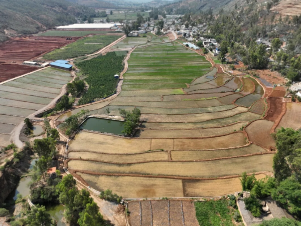 在大寨村投入1300万元,实施了国土综合整治(提质改造)项目,完成772.